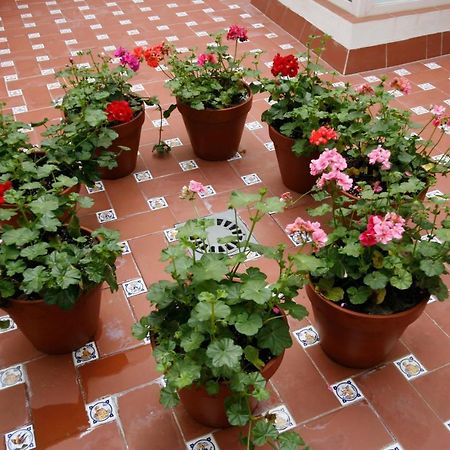Apartamentos Las Cruces Sevilla Kültér fotó