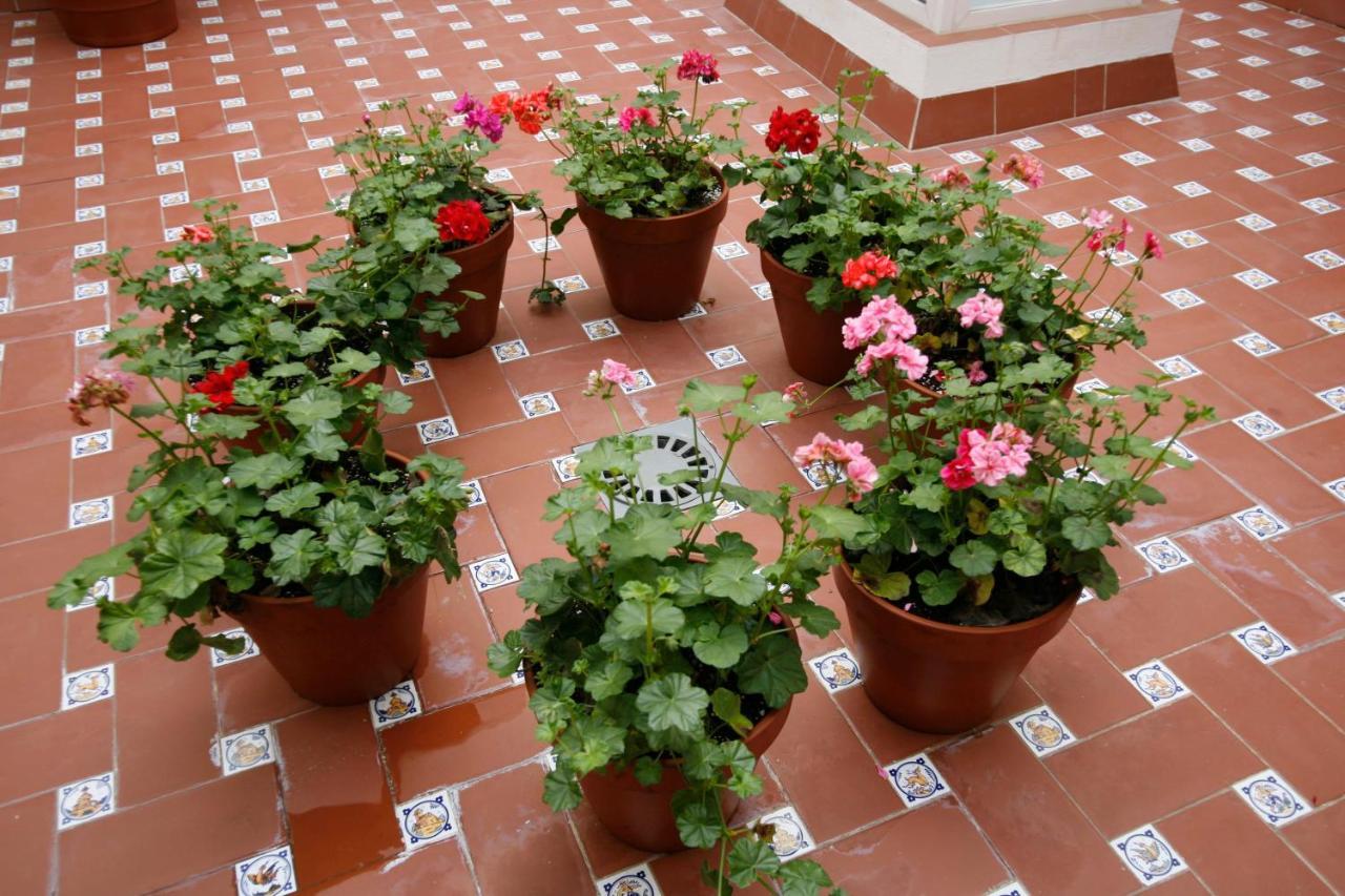 Apartamentos Las Cruces Sevilla Kültér fotó